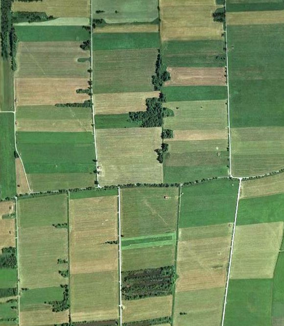 Wiel_Raisting_google